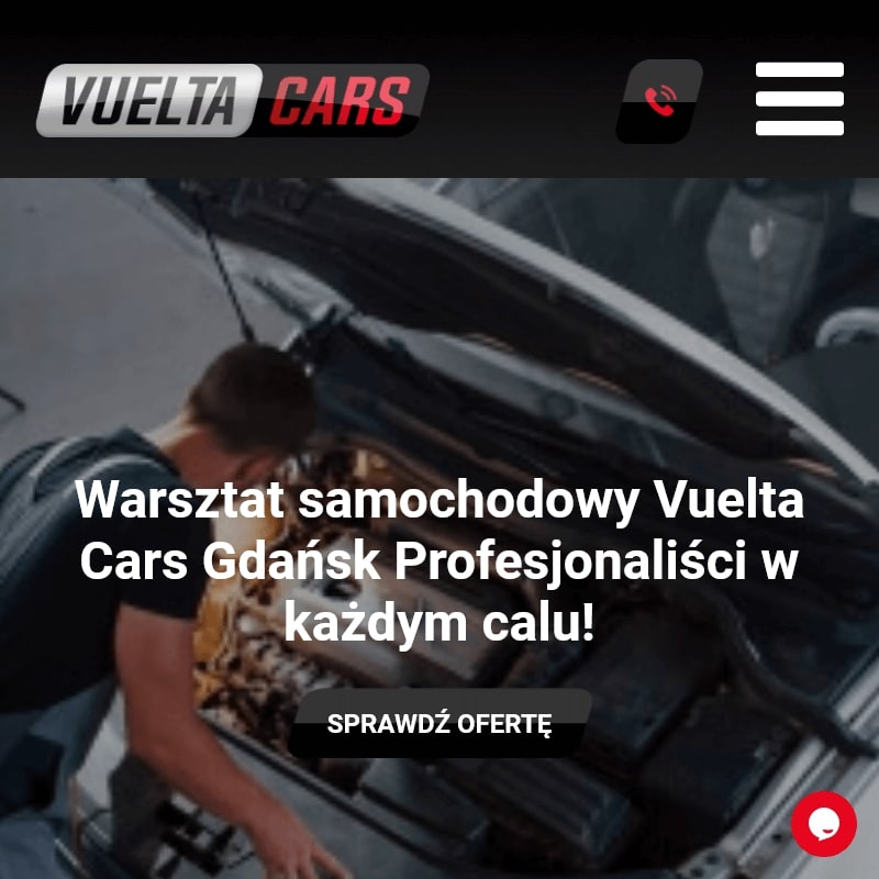 Naprawa sterowników silnika - Pruszcz Gdański